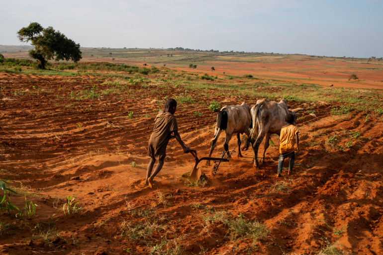 A severe drought has led to a famine catastrophe in Madagascar.