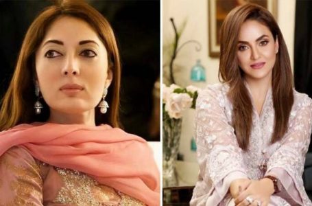 نکمی اور نا اہل شرمیلا  فاروقی سے اپنی  بےعزتی کا بدلہ لوں گی  :  نادیہ خان