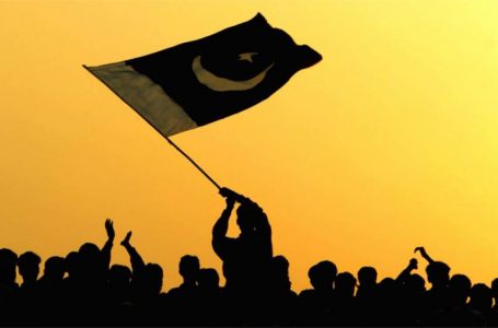 بیرون ملک مقیم پاکستانیوں کو ووٹ کا حق دلوانے کے لیے درخواست دائر